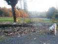 /album/moi-dans-le-jardin/a236-ilanga-15-novembre-2012-14-jpg/